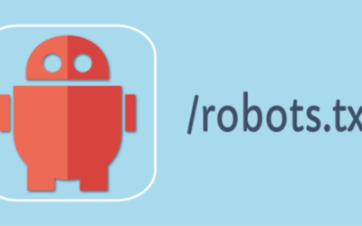 Создаем robots.txt для WordPress