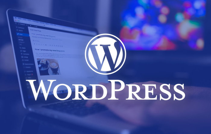 Не работает шорткод на странице WordPress — что делать