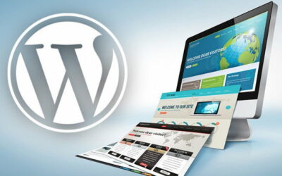 Появились пользователи на WordPress: что делать