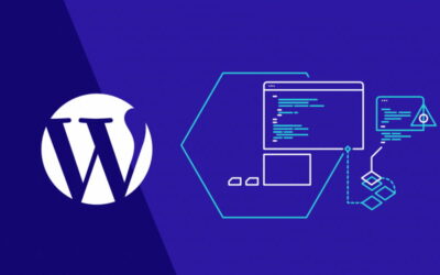 Как перевести плагин или тему WordPress на русский язык