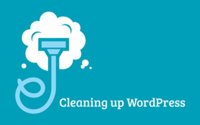 Плагин для очистки базы данных в WordPress