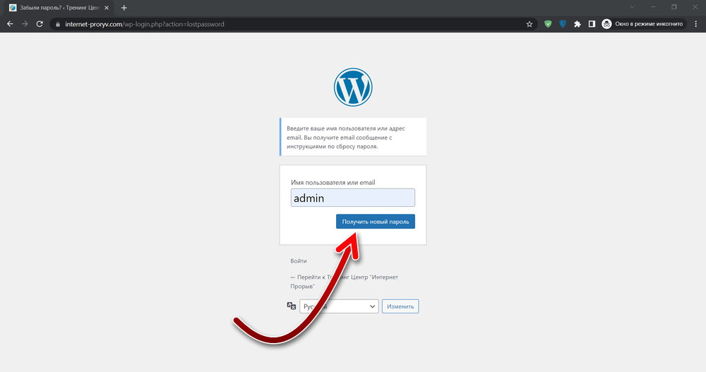 Получить новый пароль