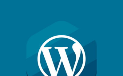 В WordPress не отображаются записи — что делать?