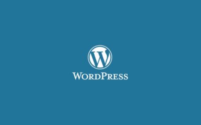 Как сделать поиск WordPress — пошагово